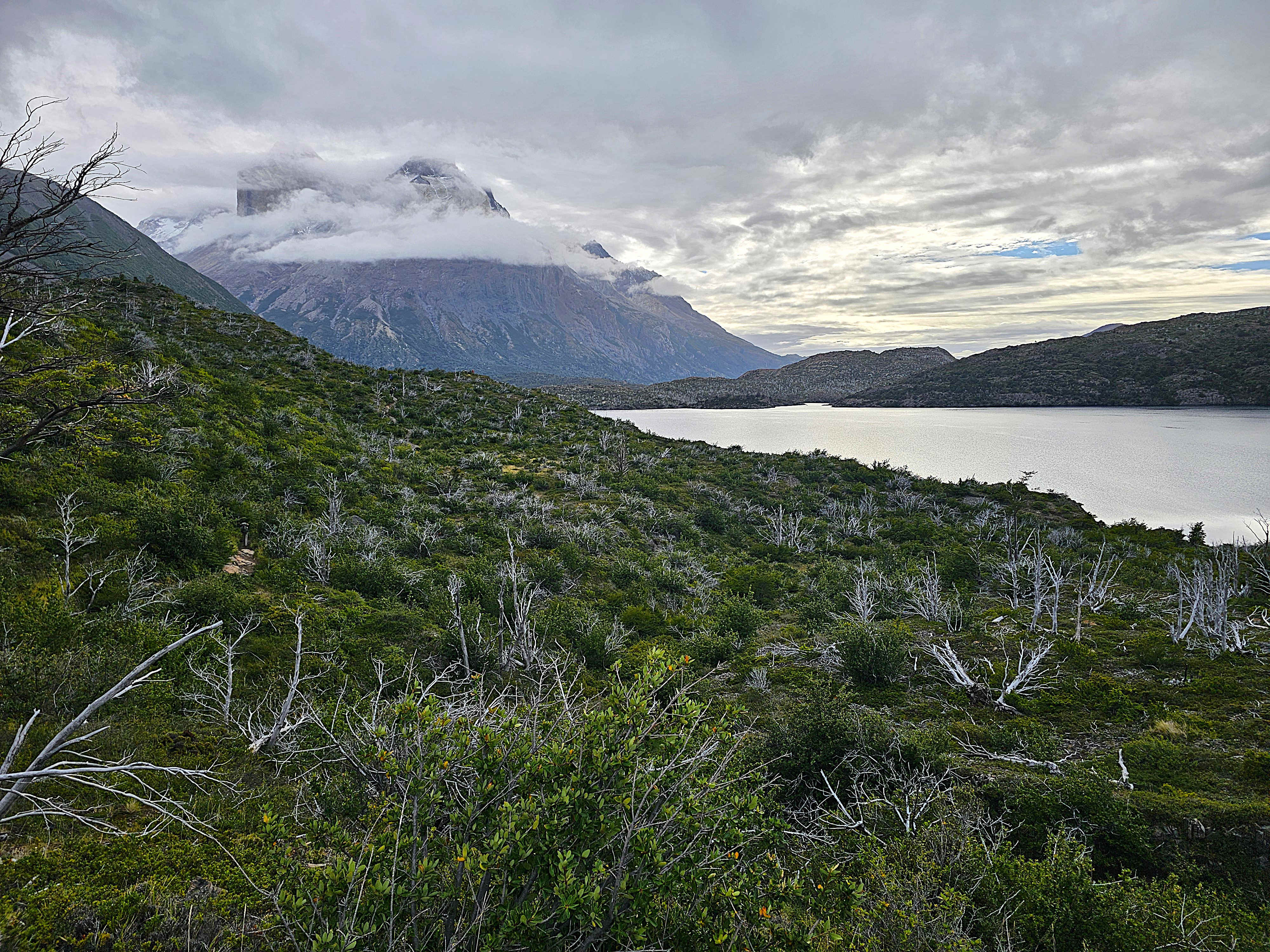 Torres del Paine